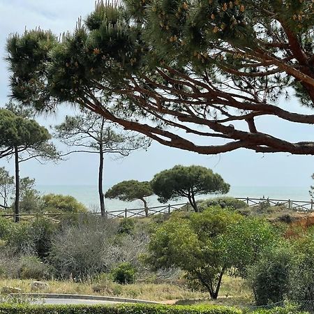 Praia Da Falesia Alfa Mar Albufeira أولوز داغوا المظهر الخارجي الصورة