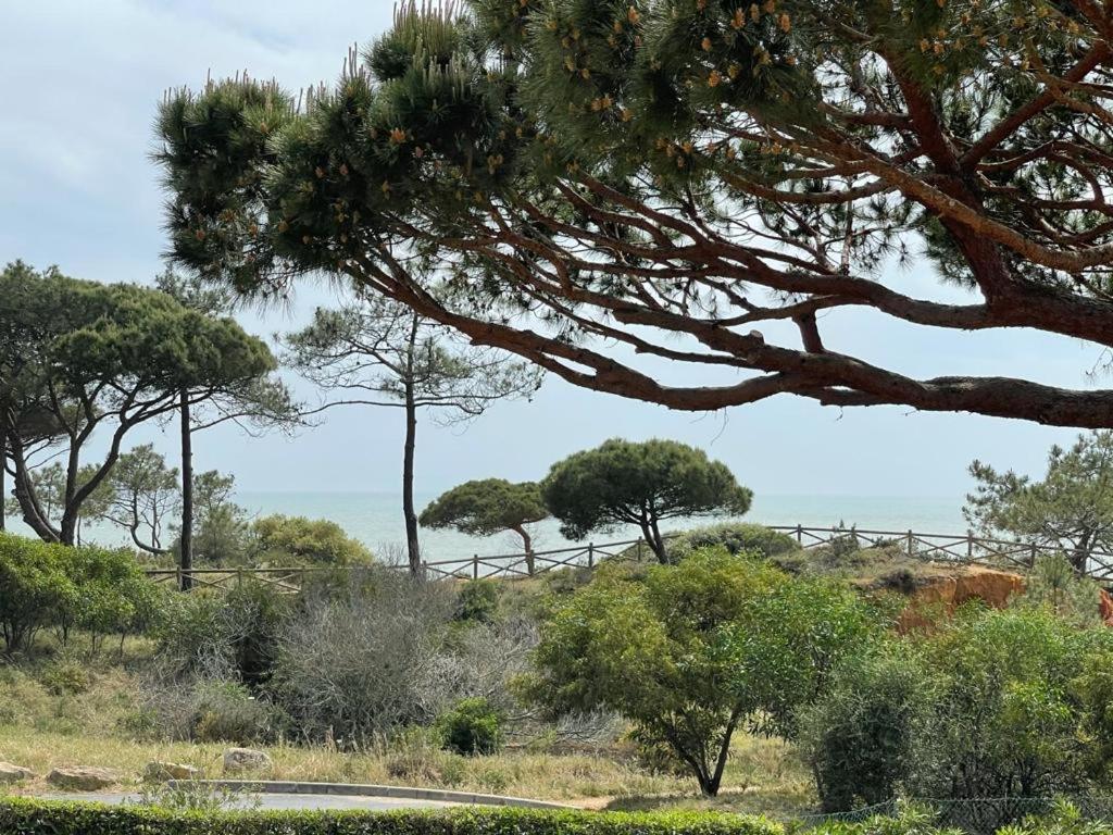Praia Da Falesia Alfa Mar Albufeira أولوز داغوا المظهر الخارجي الصورة
