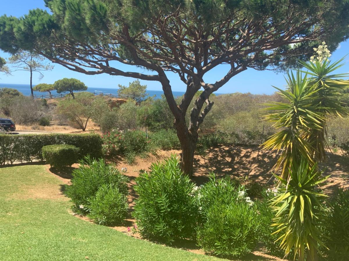 Praia Da Falesia Alfa Mar Albufeira أولوز داغوا المظهر الخارجي الصورة
